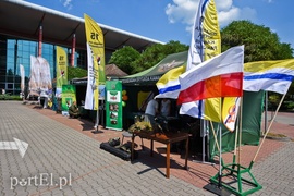 Niektórym przypominają się lata młodości