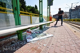 Wandale zdemolowali przystanki