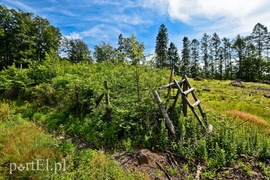 Ostre cięcie, które wyjdzie na zdrowie