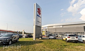 To mogą być świetni kompani wakacyjnych podróży To mogą być świetni kompani wakacyjnych podróży