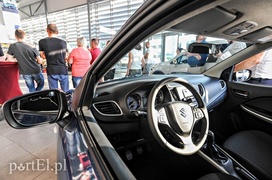 To mogą być świetni kompani wakacyjnych podróży
