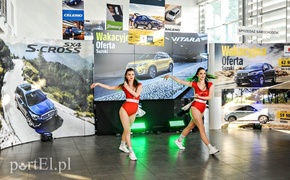 To mogą być świetni kompani wakacyjnych podróży To mogą być świetni kompani wakacyjnych podróży