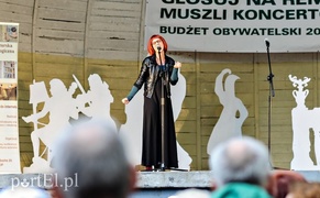 Piosenka jest dobra na wszystko