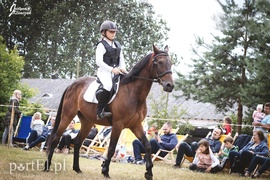 Pony Cup. Sezon trzeci
