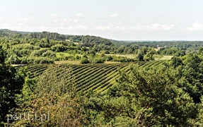 Piękne widoki i smaczne ryby  (Cudze chwalicie, swego nie znacie, odc. 3) 