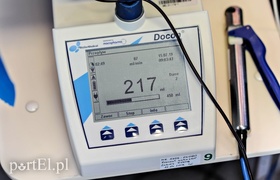 W autobusie polała się krew