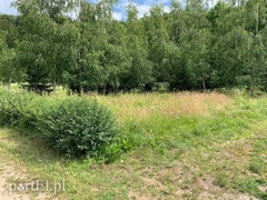 Przy Kanale Elbląskim nie pobiwakujesz