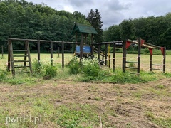 Przy Kanale Elbląskim nie pobiwakujesz