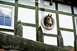 Kadyny, czyli z wizytą u cesarza Wilhelma  (Cudze chwalicie, swego nie znacie, odcinek 4) 