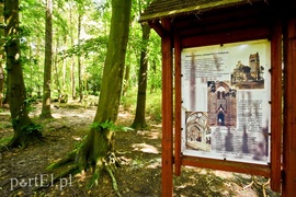 Kadyny, czyli z wizytą u cesarza Wilhelma  (Cudze chwalicie, swego nie znacie, odcinek 4) 