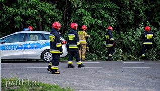 Pijany i bez uprawnień wjechał do rowu