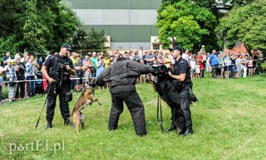Zabawa z policjantami