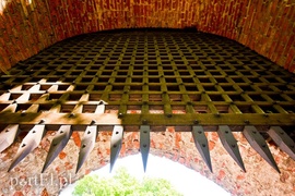 Wycieczka nie z tej ziemi  (Cudze chwalicie, swego nie znacie, odcinek 5) 