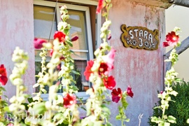 Wycieczka nie z tej ziemi  (Cudze chwalicie, swego nie znacie, odcinek 5) 