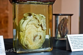 Wycieczka nie z tej ziemi  (Cudze chwalicie, swego nie znacie, odcinek 5) 