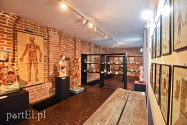 Wycieczka nie z tej ziemi  (Cudze chwalicie, swego nie znacie, odcinek 5) 