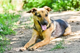 Galeria pod psem i kotem (Odc.65)