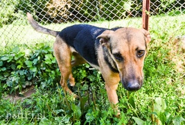 Galeria pod psem i kotem (Odc.65)