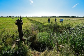 Nie ma wody na Żuławach
