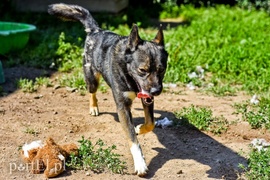 Galeria pod psem i kotem (Odc.66)