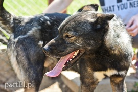 Galeria pod psem i kotem (Odc.66) Galeria pod psem i kotem (Odc.66)