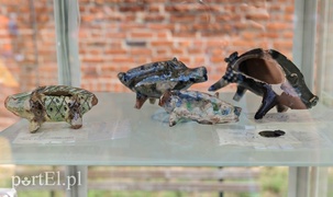 Ta ziemia jeszcze nas zaskoczy