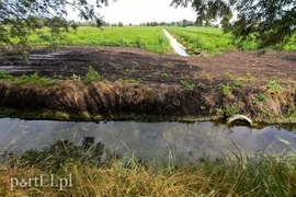 Rolnicy kontra urzędnicy. Poszło o suszę