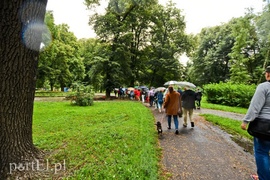 Mniejszości narodowych szukali na cmentarzach