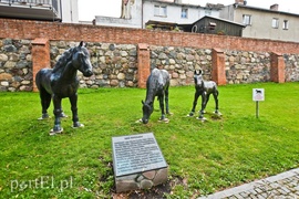 Przystanek Sztum  (Cudze chwalicie, swego nie znacie, odcinek 7) 