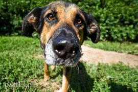 Galeria pod psem i kotem (Odc.67)