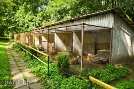 Kiedyś rządzili tu biskupi, dziś to miasto pełne zabytków  (Cudze chwalicie, swego nie znacie, odcinek 8) 