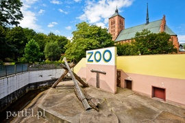 Kiedyś rządzili tu biskupi, dziś to miasto pełne zabytków  (Cudze chwalicie, swego nie znacie, odcinek 8) 
