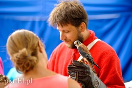 Jarmark pełen atrakcji