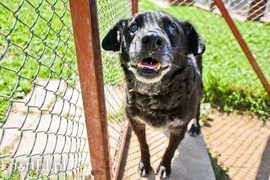 Galeria pod psem i kotem (Odc.69)