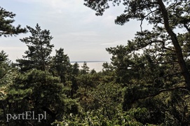 Krynica dla tych, którzy lubią tłumy  (Cudze chwalicie, swego nie znacie, odcinek 10) 