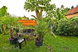 Niewielu jest takich wariatów jak ja