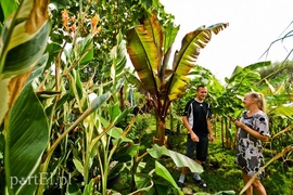 Niewielu jest takich wariatów jak ja