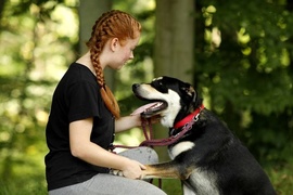 Galeria pod psem i kotem (Odc.71)