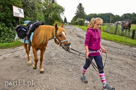 Z Warszawy nad Zalew Wiślany, Spox