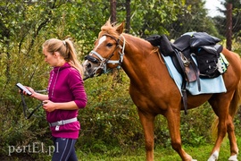 Z Warszawy nad Zalew Wiślany, Spox
