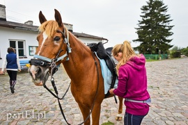 Z Warszawy nad Zalew Wiślany, Spox