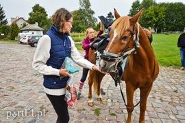 Z Warszawy nad Zalew Wiślany, Spox
