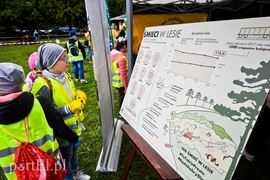 Posprzątali Bażantarnię