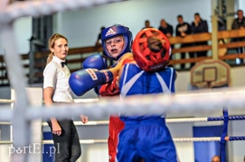 Bokserskie święto na wysokim poziomie