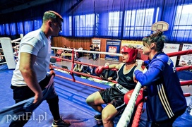 Bokserskie święto na wysokim poziomie Bokserskie święto na wysokim poziomie