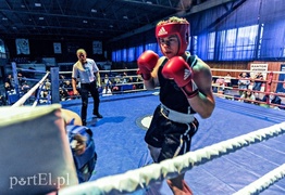 Bokserskie święto na wysokim poziomie