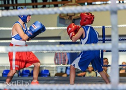 Bokserskie święto na wysokim poziomie