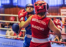 Bokserskie święto na wysokim poziomie