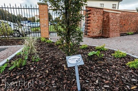 Czytanie będzie miało zapach lawendy