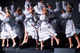 Dobrze wiedzą, gdzie mieszkają